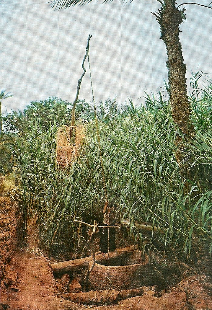 Sud-20-tirage eau du puits.jpg